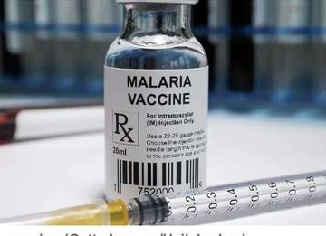 Government urged to make malaria vaccines available