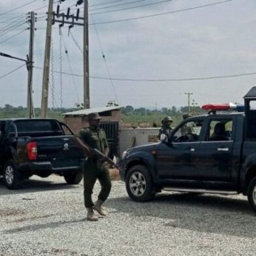 Dozens of wedding guests abducted in Nigeria