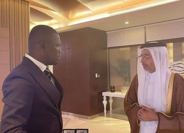 Sports Minister lobbies Qatar for dismountable World Cup stadium