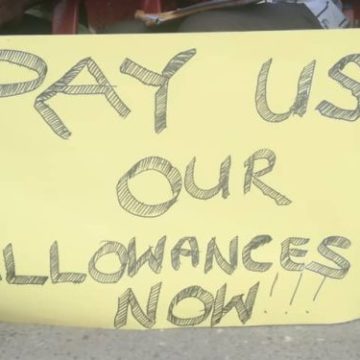 Youth in Afforestation workers begin strike to demand allowances