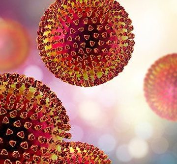 Ghana confirms 14 Lassa Fever cases