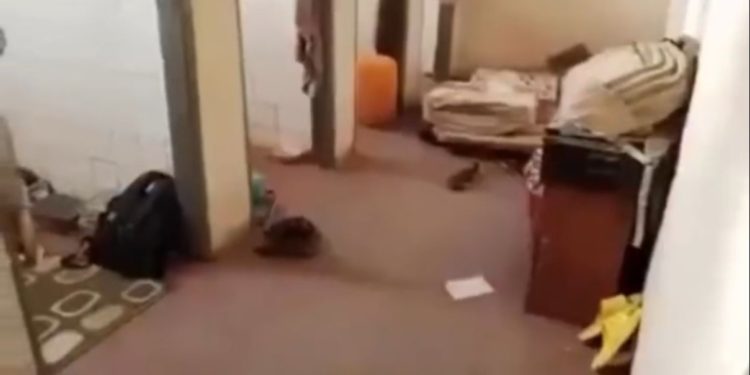 GHANASCO students don’t sleep in toilets; viral video staged – Headmaster GHANASCO students don’t sleep in toilets; viral video staged – Headmaster