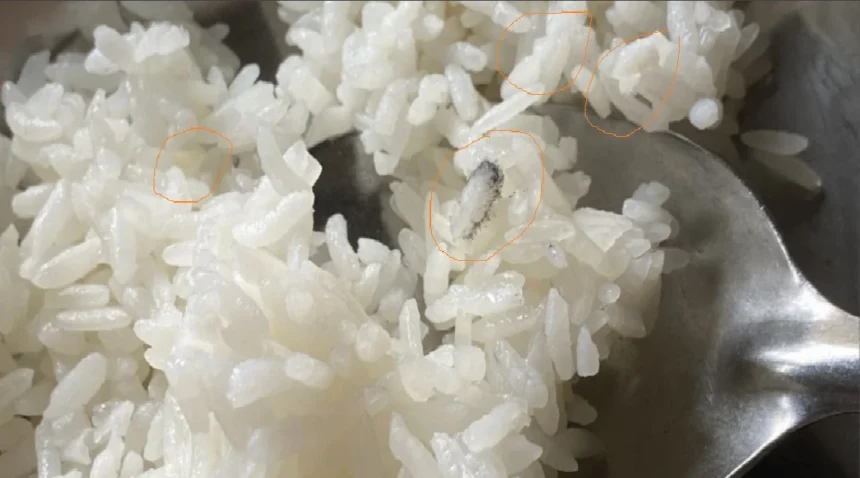 Expired rice for students: Education Ministry vows consequences if…