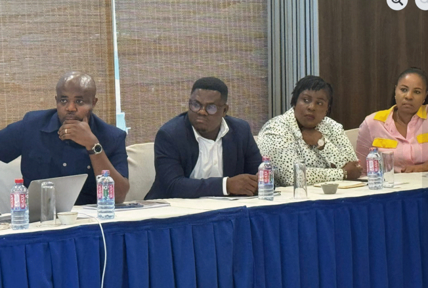 NPA briefs Energy Committee of Parliament on their operations and planned activities for 2025