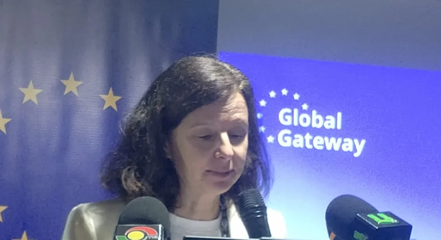 EU launches €2.4m programme to revive Ghana’s degraded forests