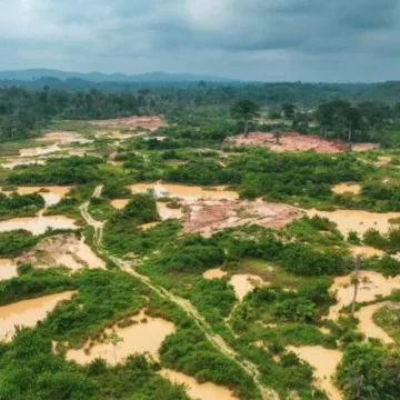 Ayariga Warns: Government Officials Involved in Galamsey Will Be Arrested