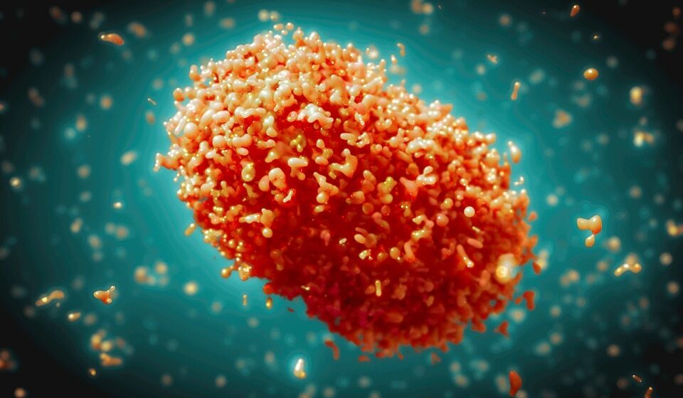 Ghana Records 12 New Mpox Cases, Total Hits 980