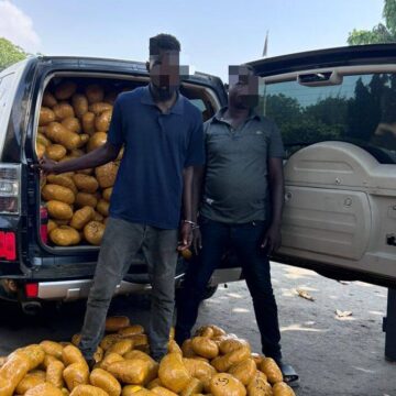 Tema Police Intercept Over 1,600 Parcels of Suspected Narcotics