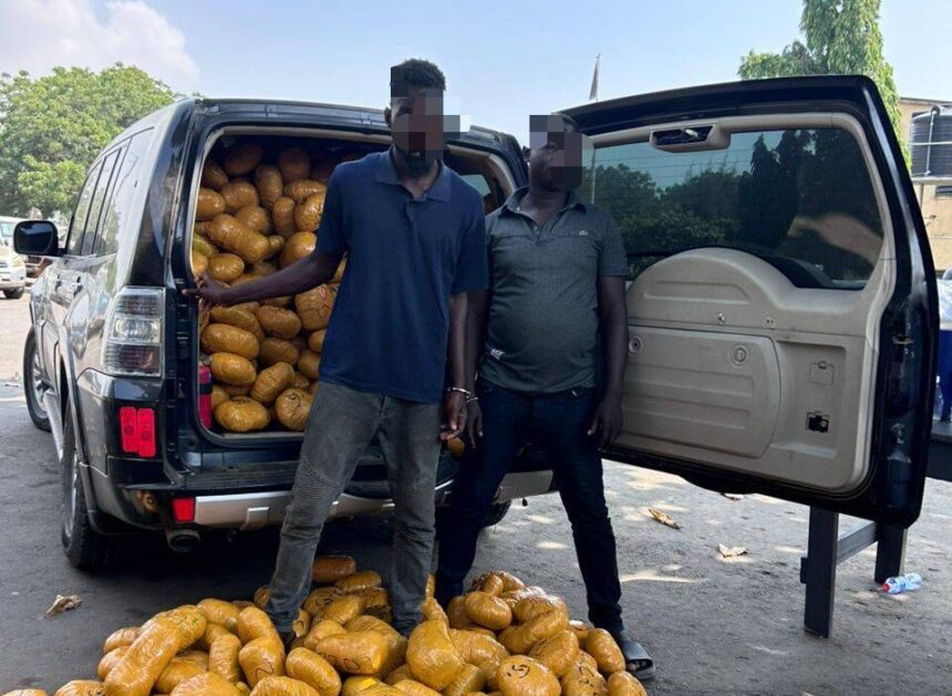 Tema Police Intercept Over 1,600 Parcels of Suspected Narcotics Tema Police Intercept Over 1,600 Parcels of Suspected Narcotics