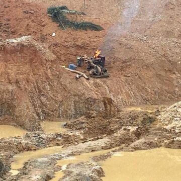 Mahama, lands minister showing strong will to tackle galamsey – Ashigbey
