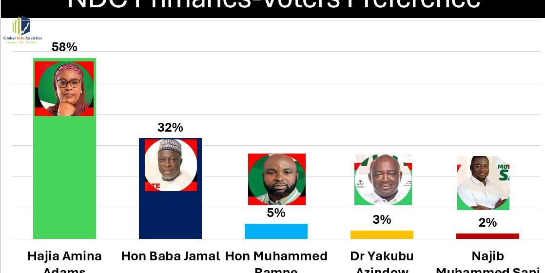 Global Info Analytics Poll Puts Hajia Amina Adams Ahead in Ayawaso East NDC Primaries