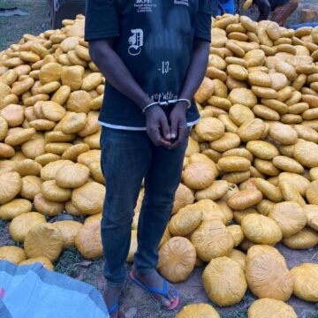 Police Intercept Truck Loaded with Suspected Narcotics in Oti Region