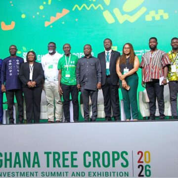 “The Time to Invest is Now” – Deputy Minister Urges Private Sector to Back Tree Crops