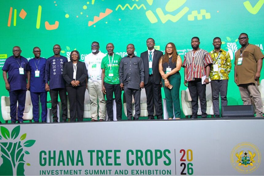 “The Time to Invest is Now” – Deputy Minister Urges Private Sector to Back Tree Crops