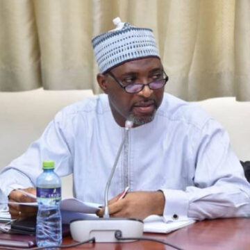 Government Begins Vetting Process for Historic Diaspora Citizenship
