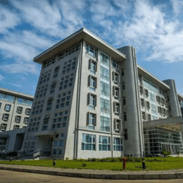 Ministry of Foreign Affairs Denies DVLA Services Abroad Rumors