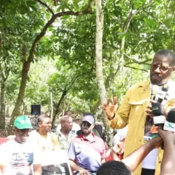 Minority Caucus Vows to Defend Cocoa Farmers’ Interests