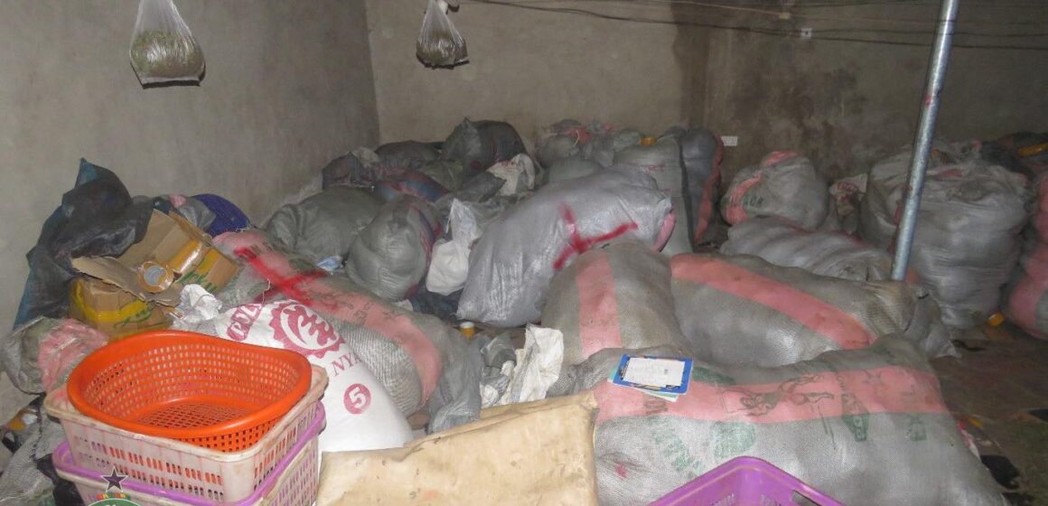 NACOC Seizes Over 2.3 Tonnes of Cannabis in Volta Region