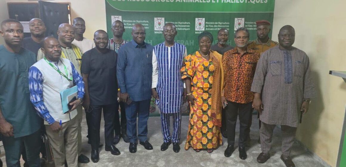 Ghana Secures Resumption of Egg Exports to Burkina Faso Ghana Secures Resumption of Egg Exports to Burkina Faso