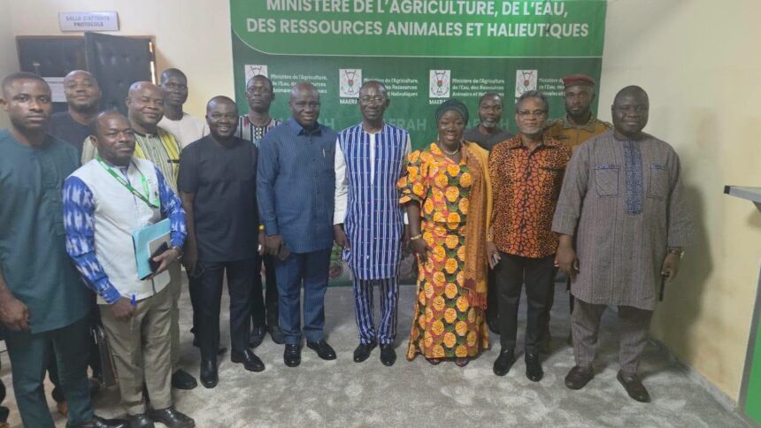 Ghana Secures Resumption of Egg Exports to Burkina Faso Ghana Secures Resumption of Egg Exports to Burkina Faso