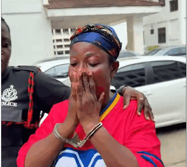 Mother-of-four In court Over Alleged Offensive Remarks About Mahama On TikTok