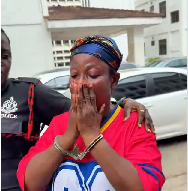 Mother-of-four In court Over Alleged Offensive Remarks About Mahama On TikTok