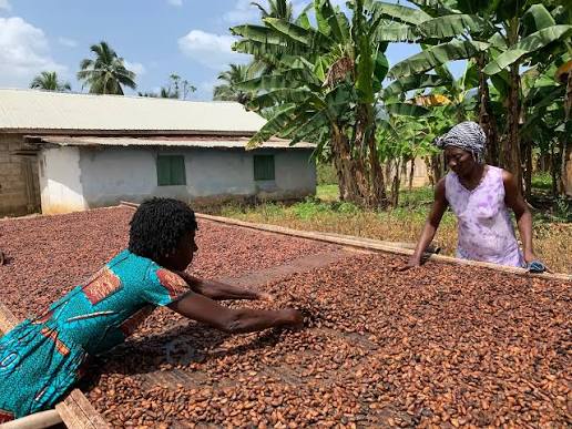 COCOBOD Settles GH¢162m Obligations to Non‑DDEP Cocoa Bill Holders COCOBOD Settles GH¢162m Obligations to Non‑DDEP Cocoa Bill Holders