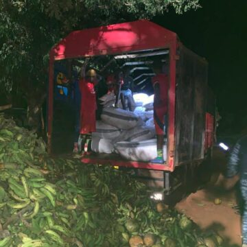 Police Arrest Four, Intercept 118 Bags Of Cocoa Destined For Togo