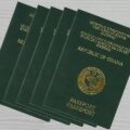 MFA Restores Passport Website After Technical Glitch