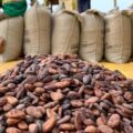 COCOBOD Completes GH¢2.3 Billion Debt Settlement, Strengthens Cocoa Sector Stability