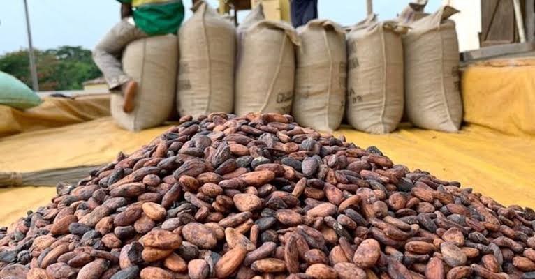 COCOBOD Completes GH¢2.3 Billion Debt Settlement, Strengthens Cocoa Sector Stability COCOBOD Completes GH¢2.3 Billion Debt Settlement, Strengthens Cocoa Sector Stability