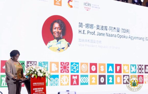 Vice President Calls for Stronger South-South Cooperation at Global Forum