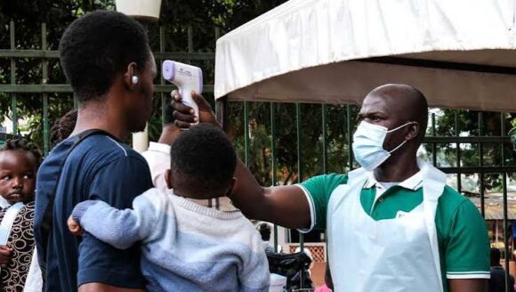Public Urged to Report Dead or Sick Wild Animals to Prevent Ebola Spread